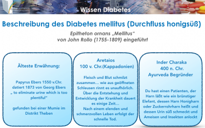 Diabetes – was ist das?