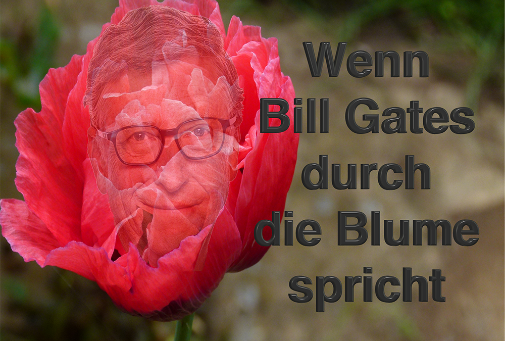 Die Entscheidung: „Game over“ versus „The Show musst go on“