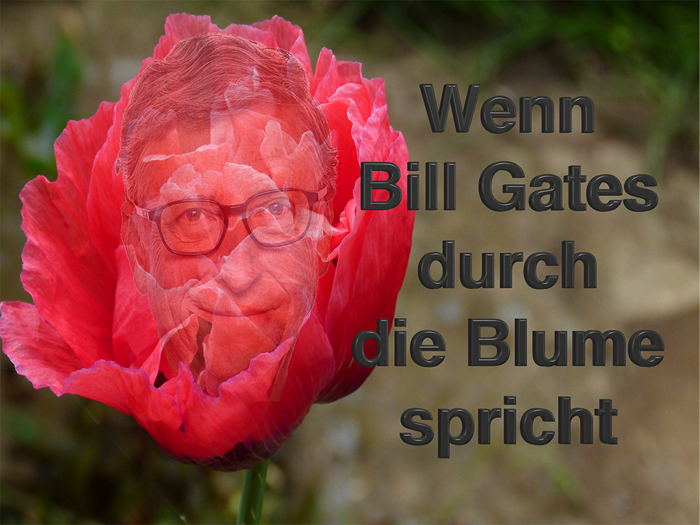 Gates Will Uns Etwas Sagen