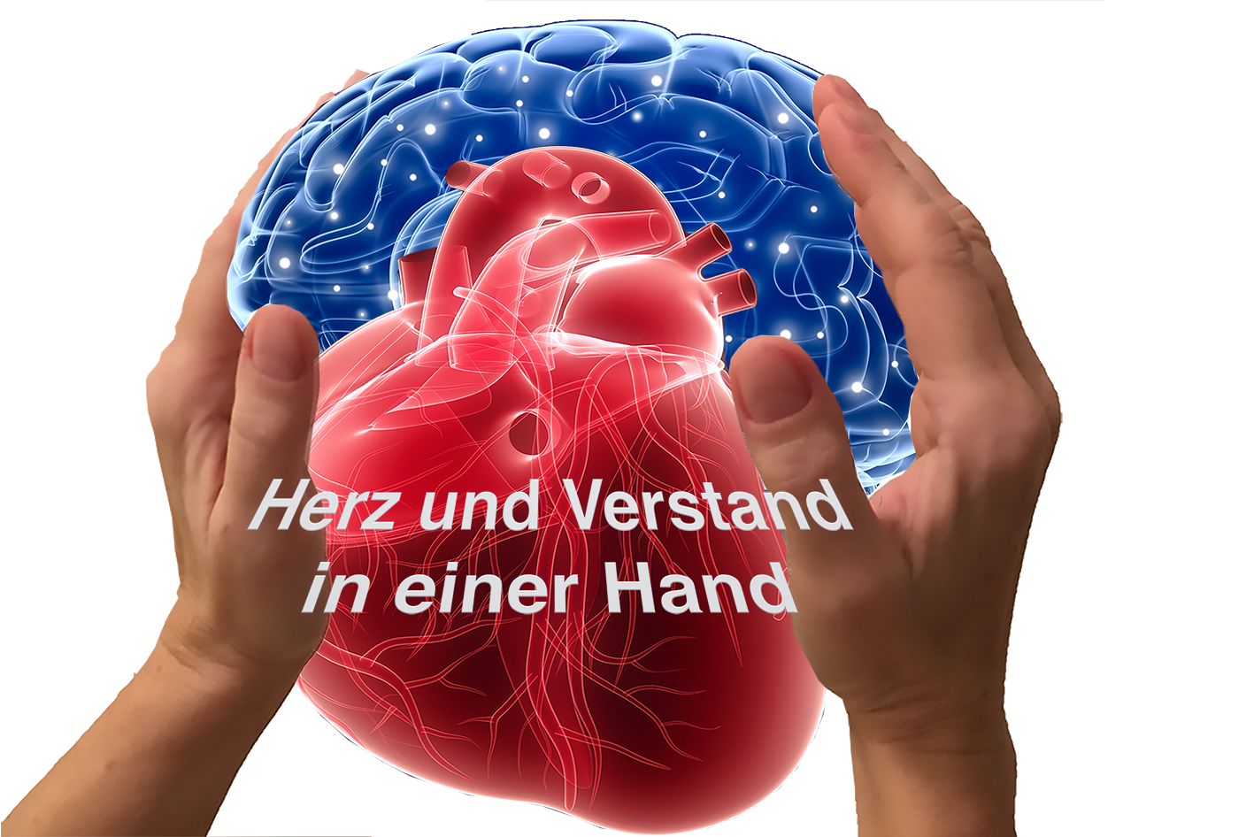 Hände Schutz Herz Hirn