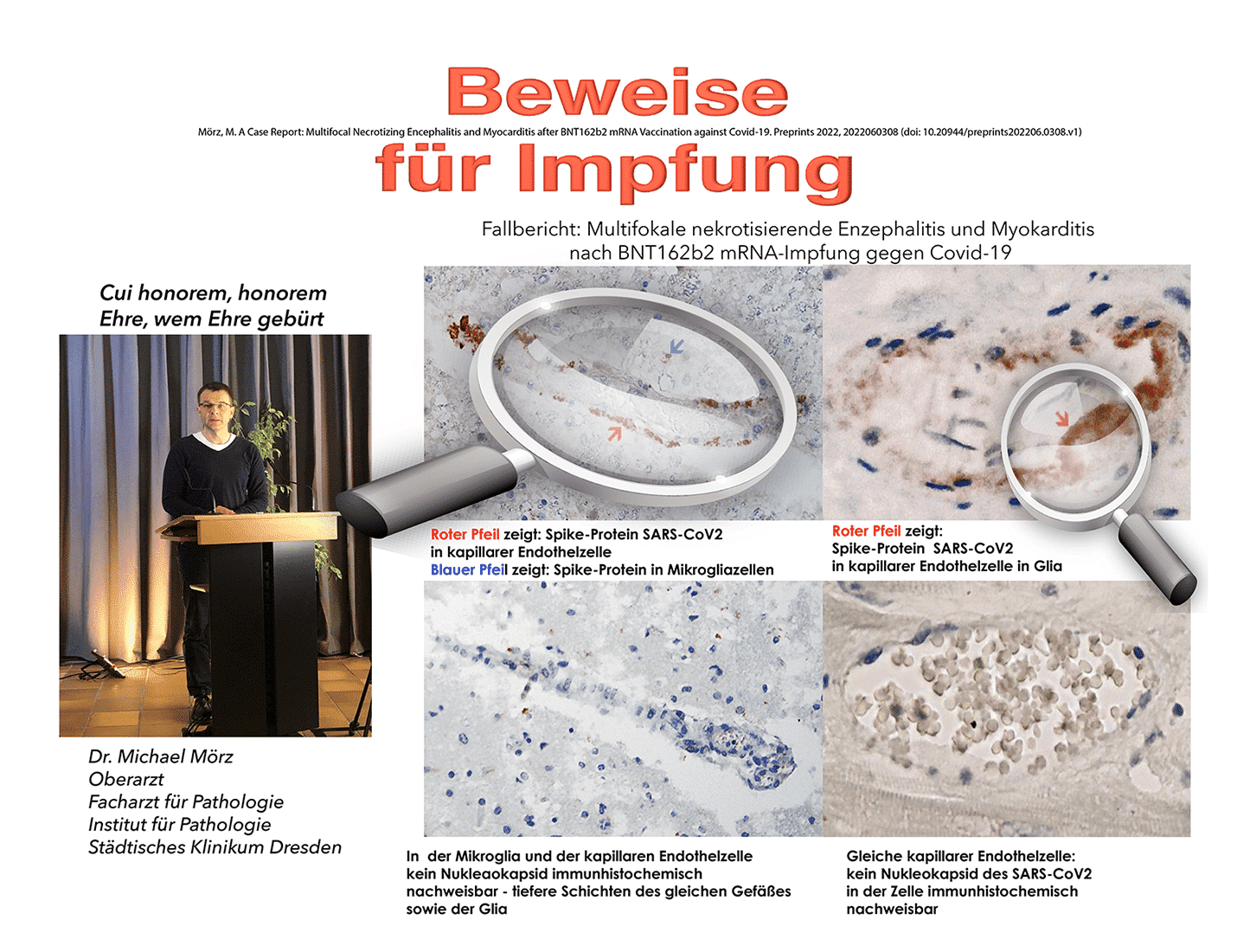 Pathologie EdV Bilder