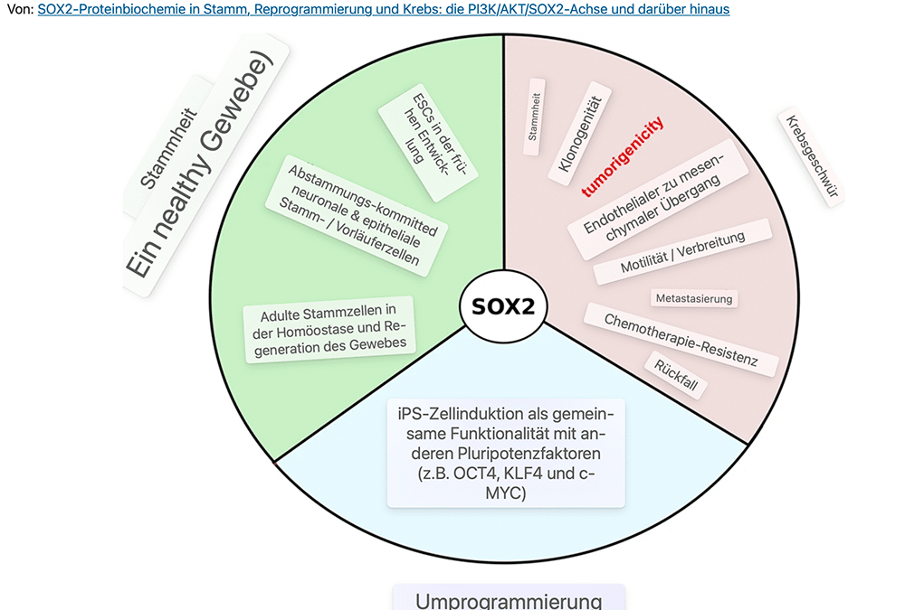 2030 und wo steht der Mensch