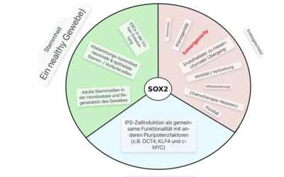 2030 und wo steht der Mensch