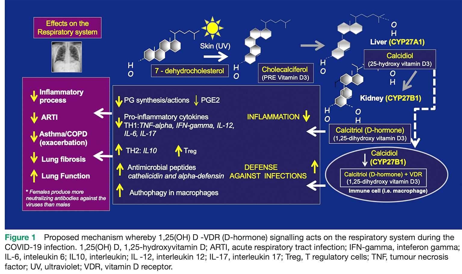 Vitamin D Covid 19