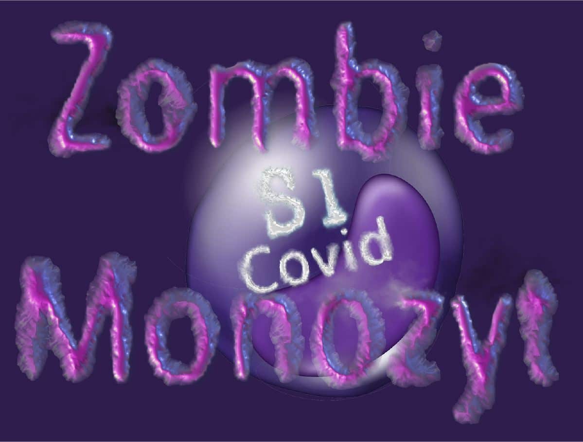 Monozyten