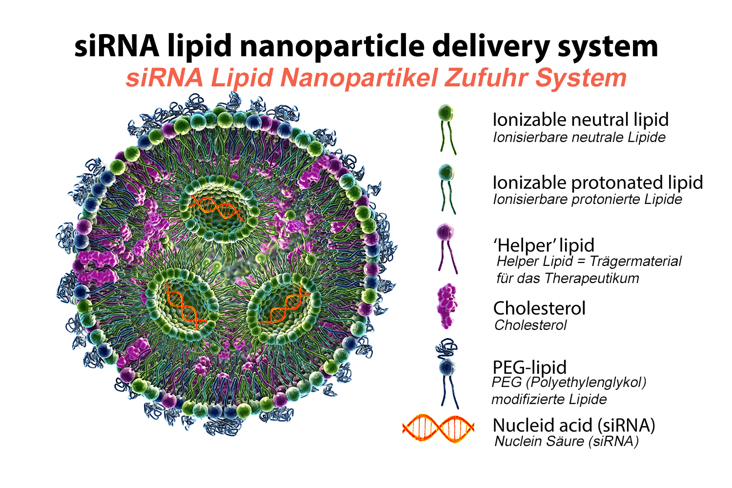 Si Nanolipid Deliver
